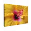 Geel - Hibiscus - Tropisch canvas 2cm klein -z3d
