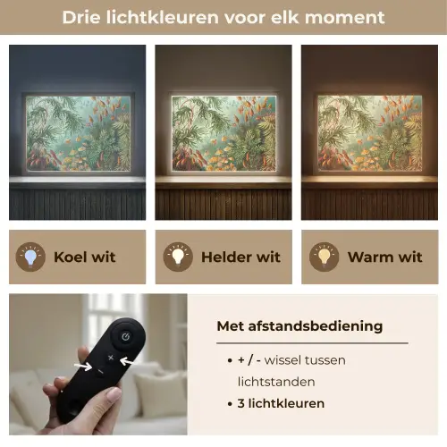 Oude meesters - Kunst - Muscinae - Haeckel Light Box met batterij (Wandlamp) middel -USP_lichtkleurNL