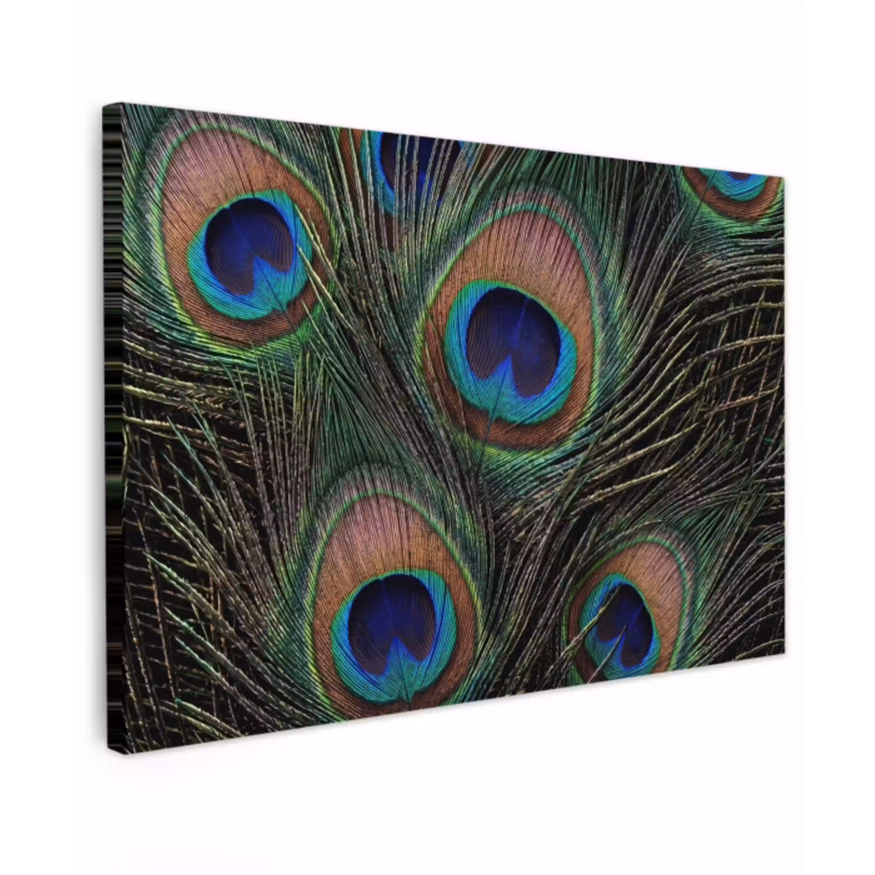 Pauwenveren - Klassiek - Groen Tuinposter op houten frame 2 cm dik klein -3d