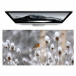 Roodborstje - Gedroogde bloem - Sneeuw - Winter - Vertederend Muismat XXL klein -zzz3d
