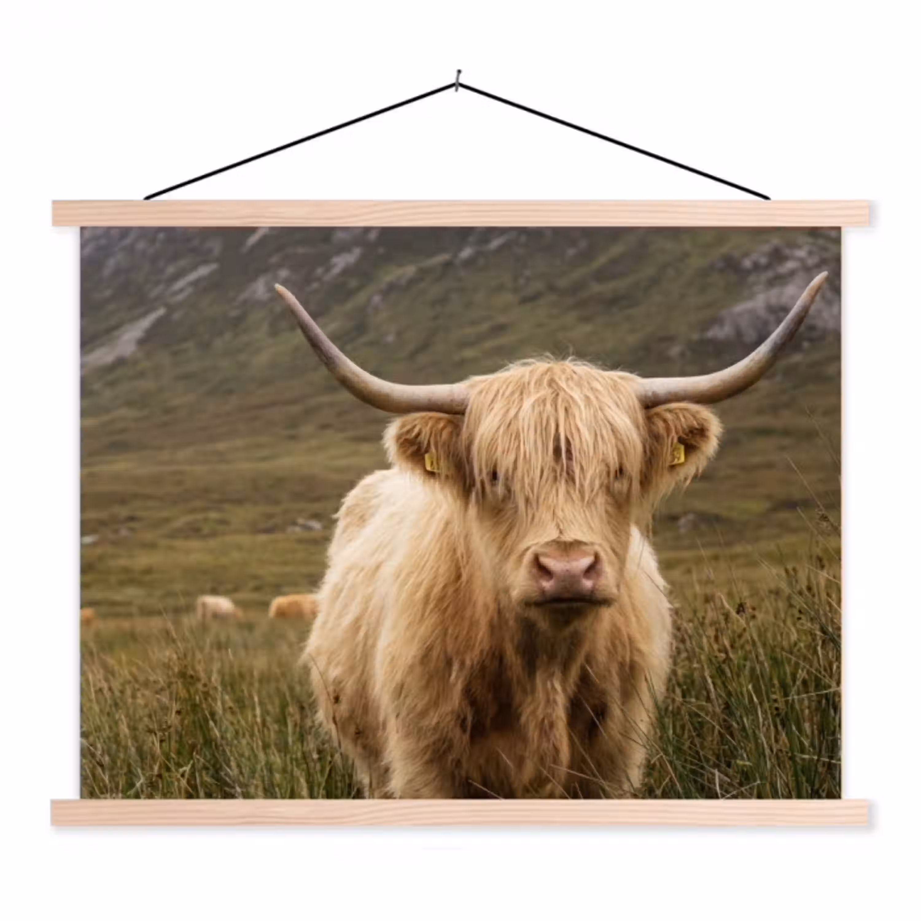 Schotse hooglander - Bergen - Grasveld textielposter latten blank klein -3d