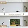 Hert - Gewei - Gras - Natuur - Dieren - Groen keuken achterwand spatscherm klein -voor_na_FR
