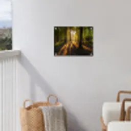 Avondlicht in het bos tuinposter los doek klein -sfeer8