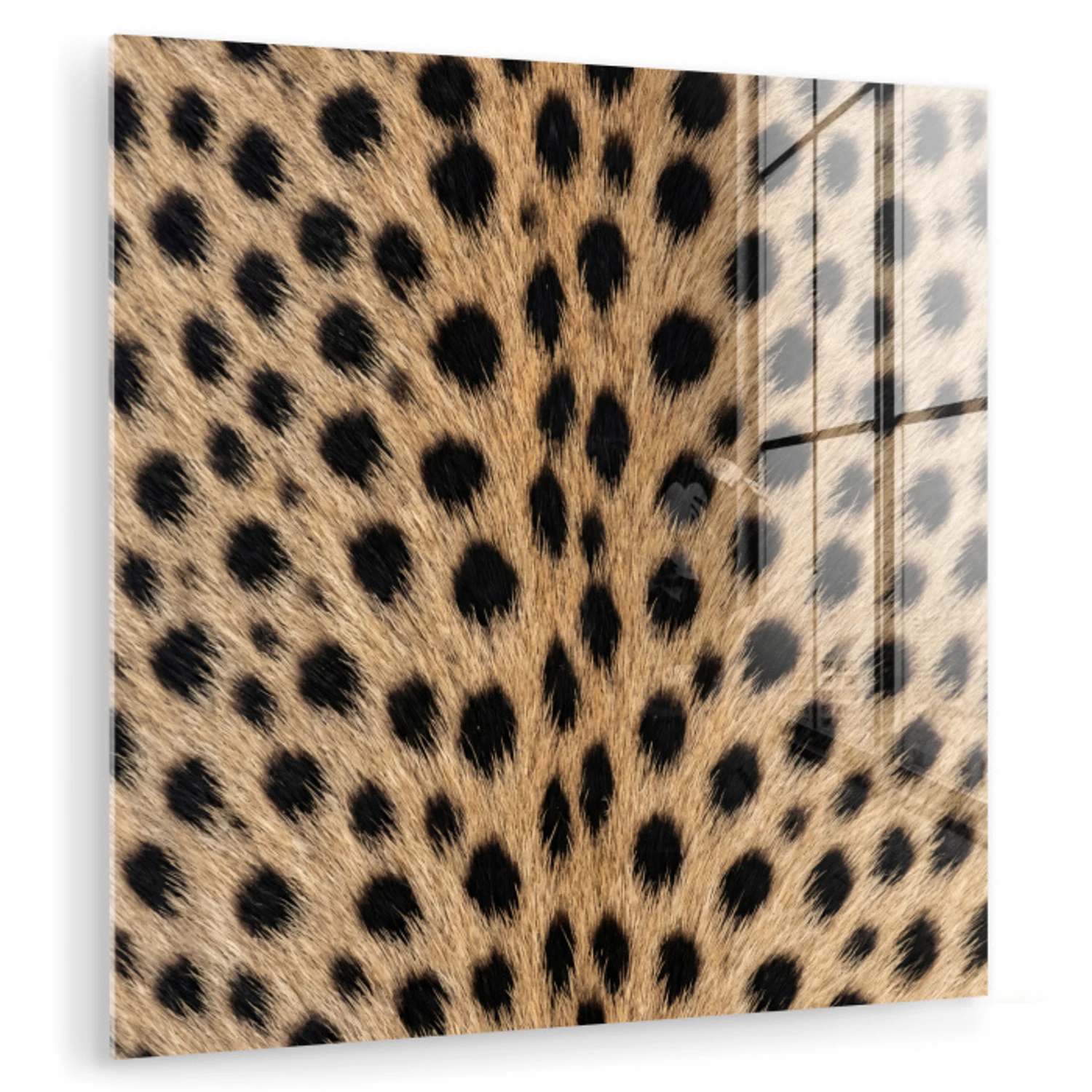 Vacht - Jachtluipaard - Zwart - Wit plexiglas 5mm klein -zzzproduct_nieuw