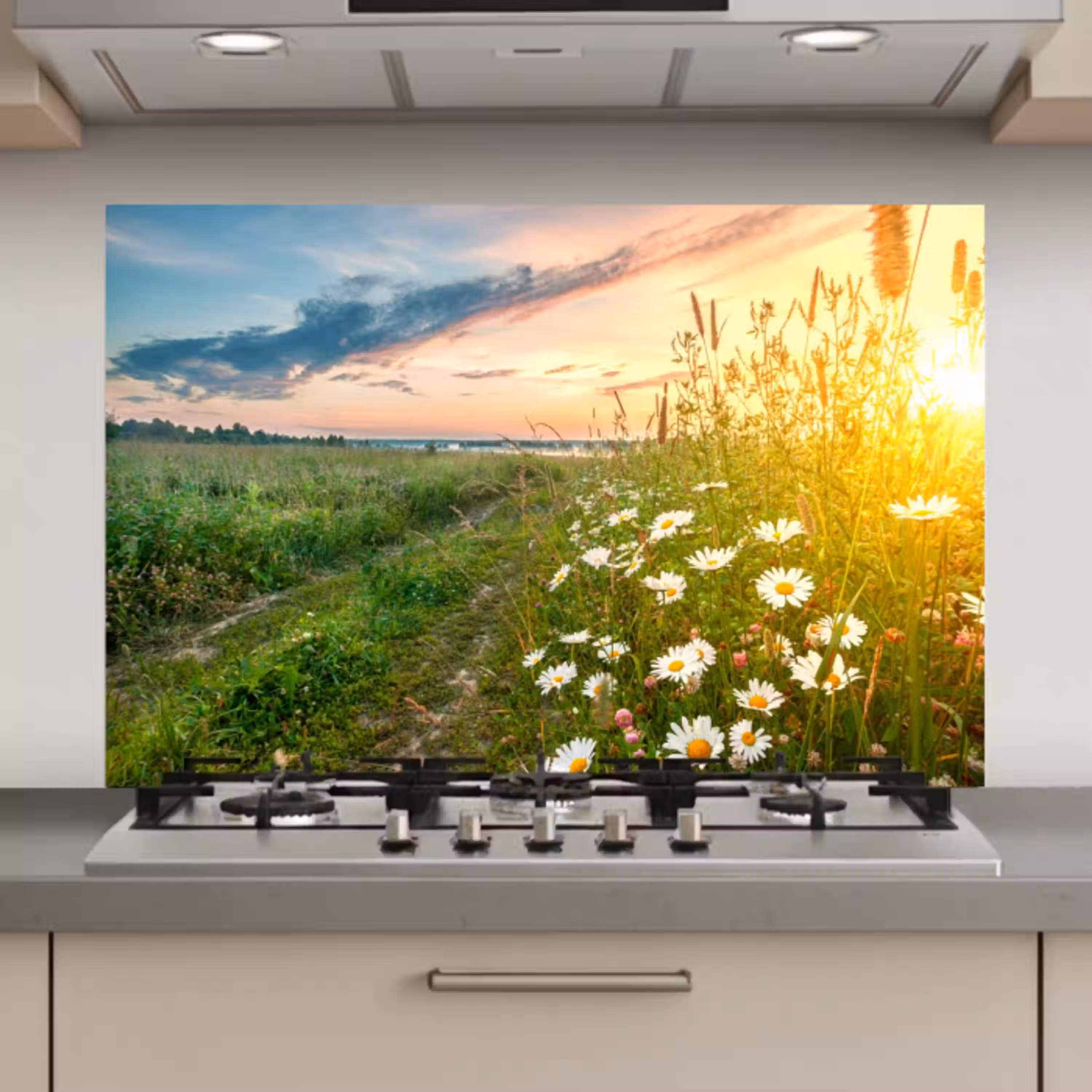 Bloemen - Madelief - Natuur - Zon - Horizon keuken achterwand spatscherm klein -3d_website