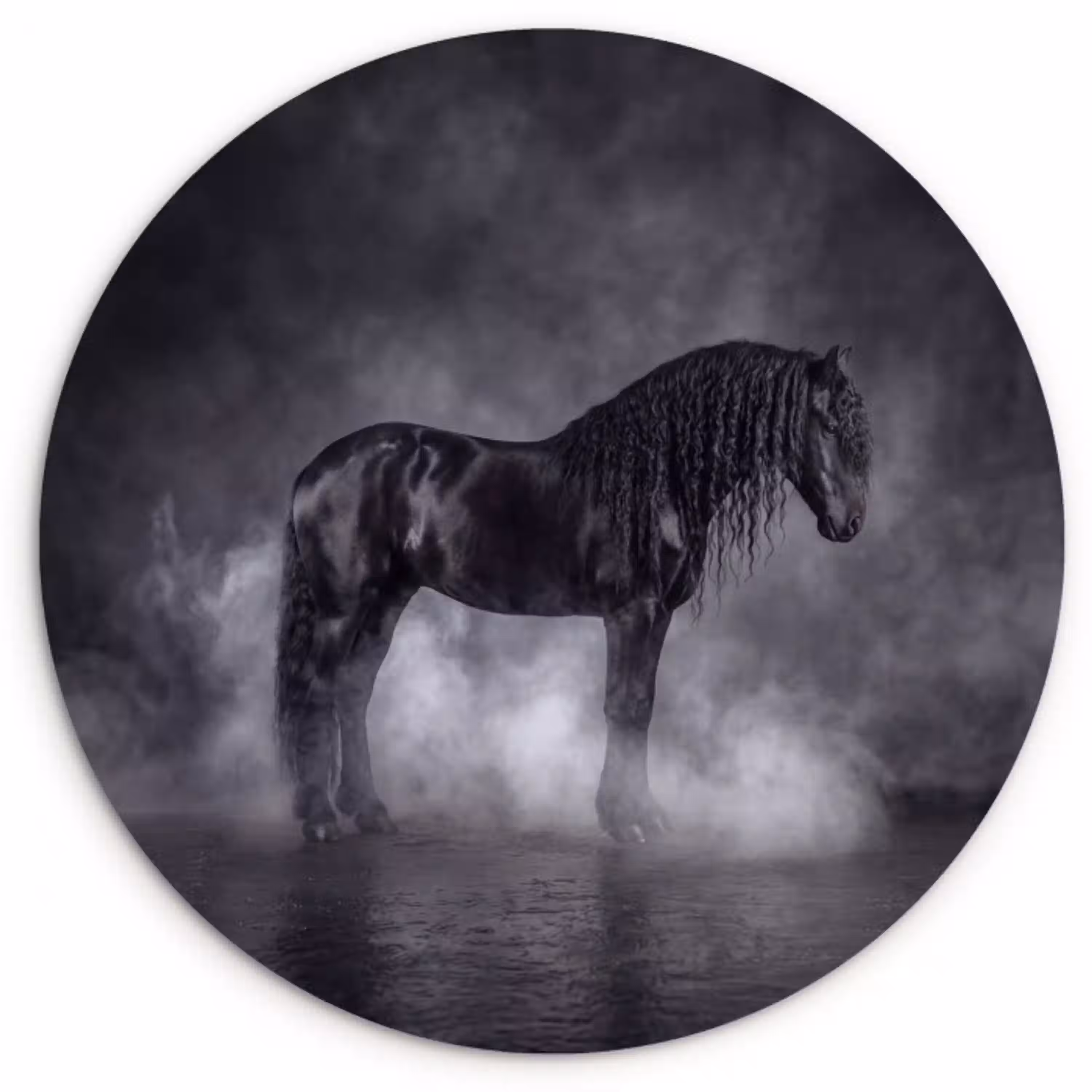 Paard - Magisch - Zwart Wandcirkel kunststof plaat 5mm dik klein -3d
