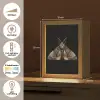 Mot - Bladachtig - Grijs Light Box met kabel (Tafellamp) klein -USP_NL