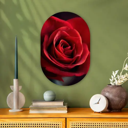 Rood - Roos - Romantisch Wandcirkel Ovaal Forex klein -sfeer2