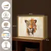 Luipaard - Symmetrisch - Strepen Light Box met batterij (Wandlamp) middel -USP_websiteoverzichtNL