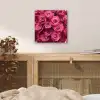 Rozen - Pink - Bloem plexiglas 5mm klein -sfeer4