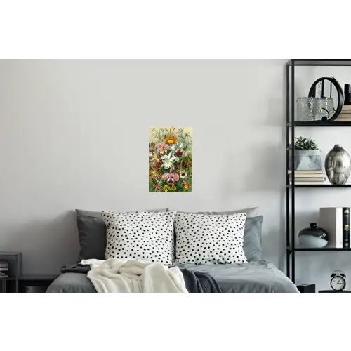 Planten - Natuur - Bloemen - Ernst Haeckel Muursticker klein -slaapkamer