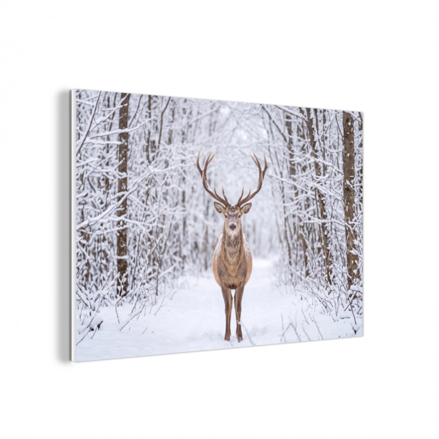 Hert - Winter - Bos - Natuur - Wit forex 5mm xxl -3d