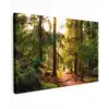 Mossig bospad Tuinposter op houten frame 2 cm dik klein -3d