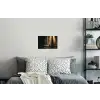 Konijn - Bos - Zonnestralen Muursticker klein -slaapkamer