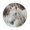 Paard - Wit - Winter - Natuur - Sneeuw - Dieren Wandcirkel aluminium klein -3d