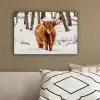 Schotse Hooglander - Sneeuw - Winter - Natuur - Dieren canvas 2cm klein -sfeer3