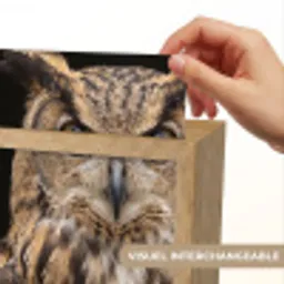 Oehoe - Uil - Portret - Bruin Light Box met kabel (Kinderlampje) klein -USP_websiteprintFR