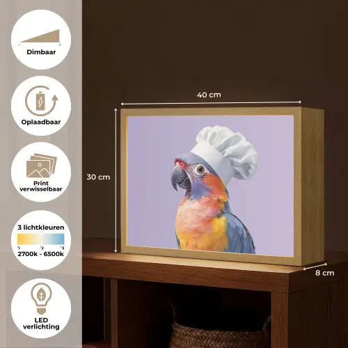 Papegaai - Koksmuts - Paars - Cute Light Box met batterij (Wandlamp) middel -USP_websiteoverzichtNL