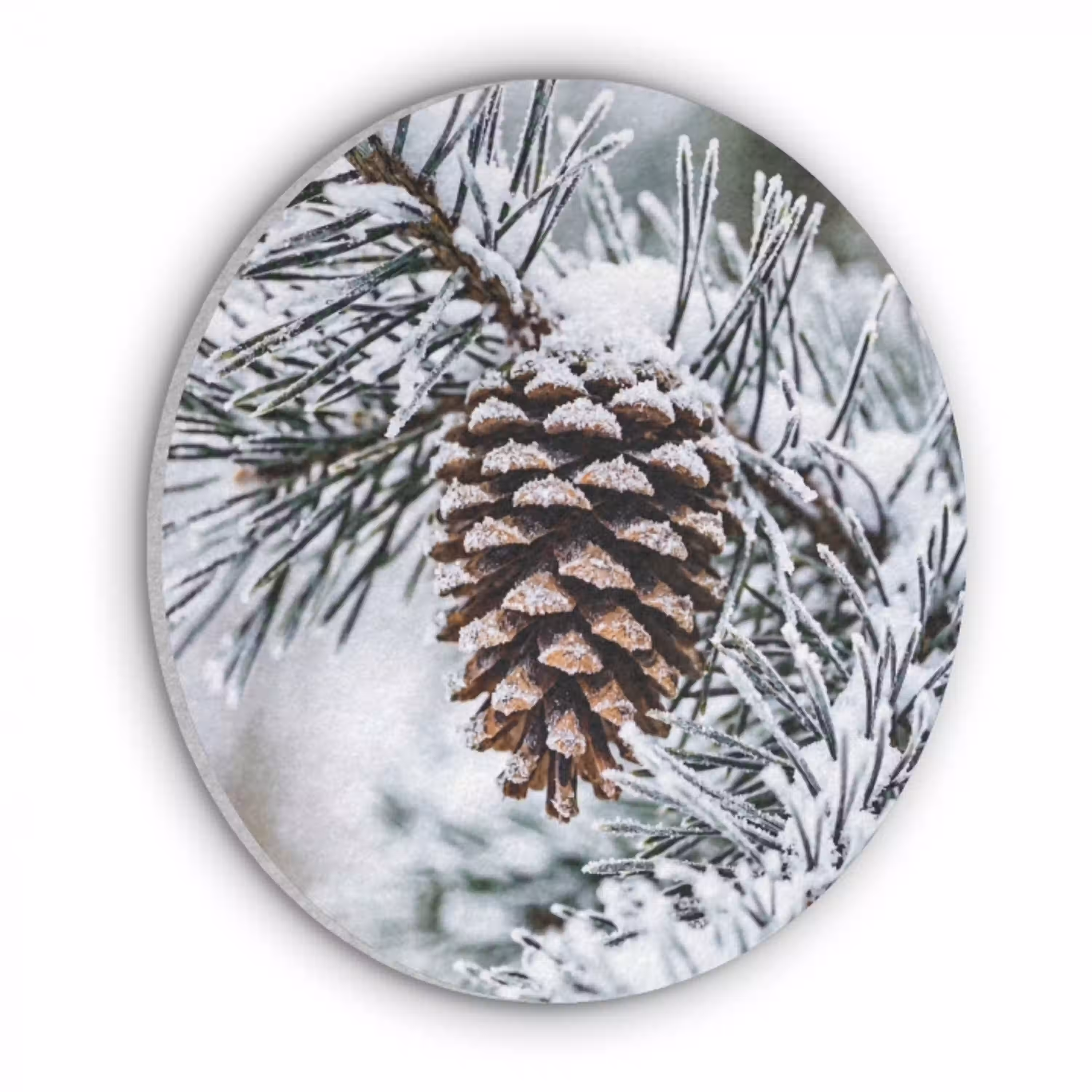 Dennenappel - Tak - Sneeuw - Winter - Sfeervol Akoestische PET Vilt - Rond klein -3d