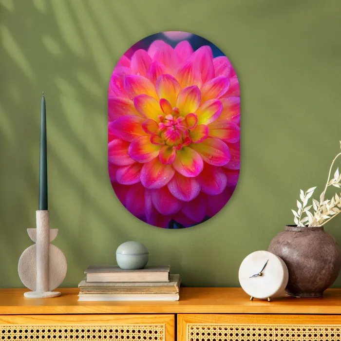 Roze - Dahlia - Kleurrijk Wandcirkel Ovaal Forex klein -sfeer2
