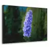 Bloemen - Blauw - Dennenboom Textielframe zwart klein -3d