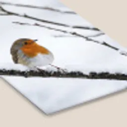 Roodborstje - Tak - Sneeuw - Winter - Levendig fotolijst zwart zonder passe partout klein -zsfeer6