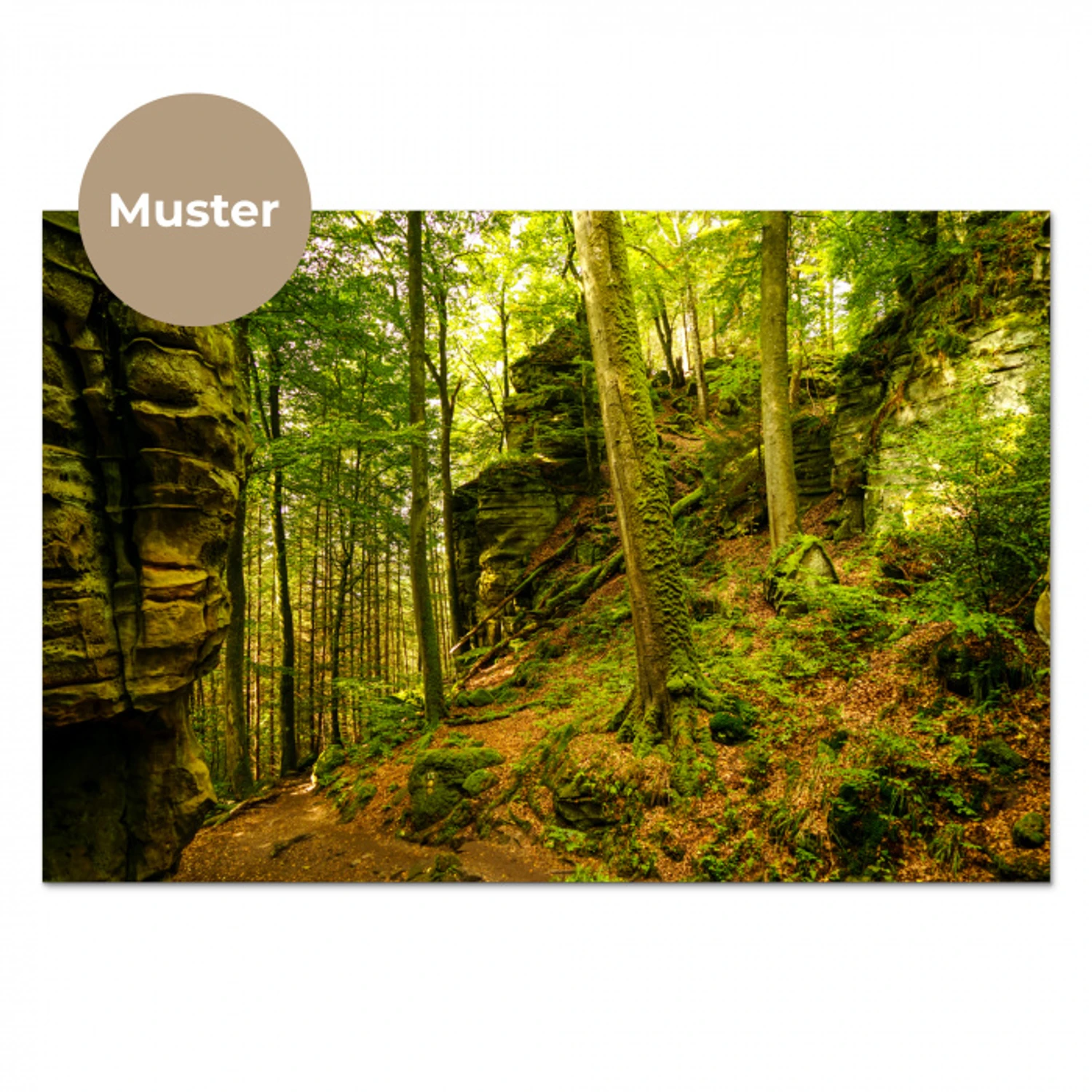 Bomen - Steen - Bos - Natuur - Planten keuken achterwand sample klein -3d_DE