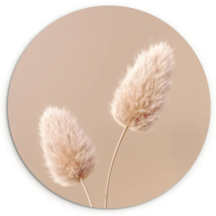 Pampas pluimen - Beige - Planten Wandcirkel kunststof plaat 5mm dik klein -3d