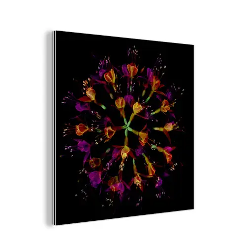 Bloemen - Oranje - Roze - Zwart aluminium wit klein -3d
