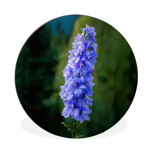 Bloemen - Blauw - Dennenboom Wandcirkel aluminium klein -3d