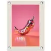 Disco - Peper - Roze tuinposter los doek klein -3d