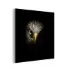Vogel - Adelaar - Roofvogels - Oog - Snavel - Licht aluminium wit klein -3d