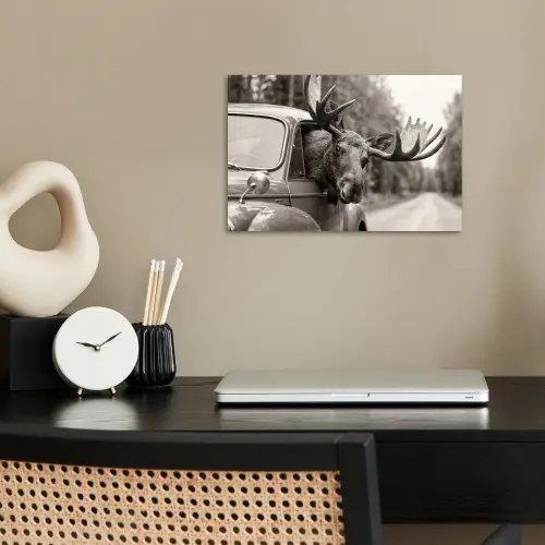 Eland - Auto - Gewei - Zwart - Wit poster papier klein -sfeer1