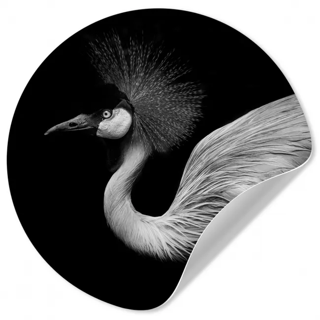 Kraanvogel - Zwart - Wit - Vogel - Dieren Wandcirkel behangsticker klein -3d