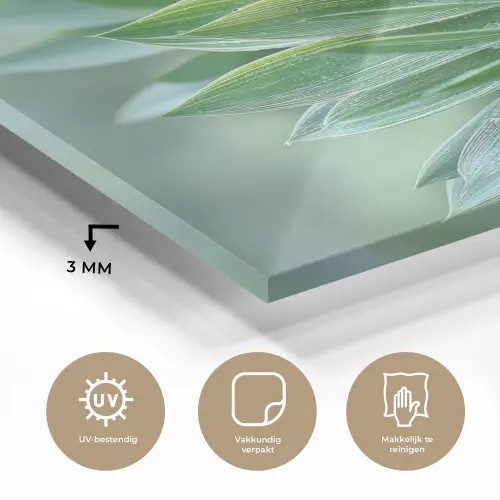 Blad - Plant - Groen - Textuur plexiglas 5mm klein -sfeer2