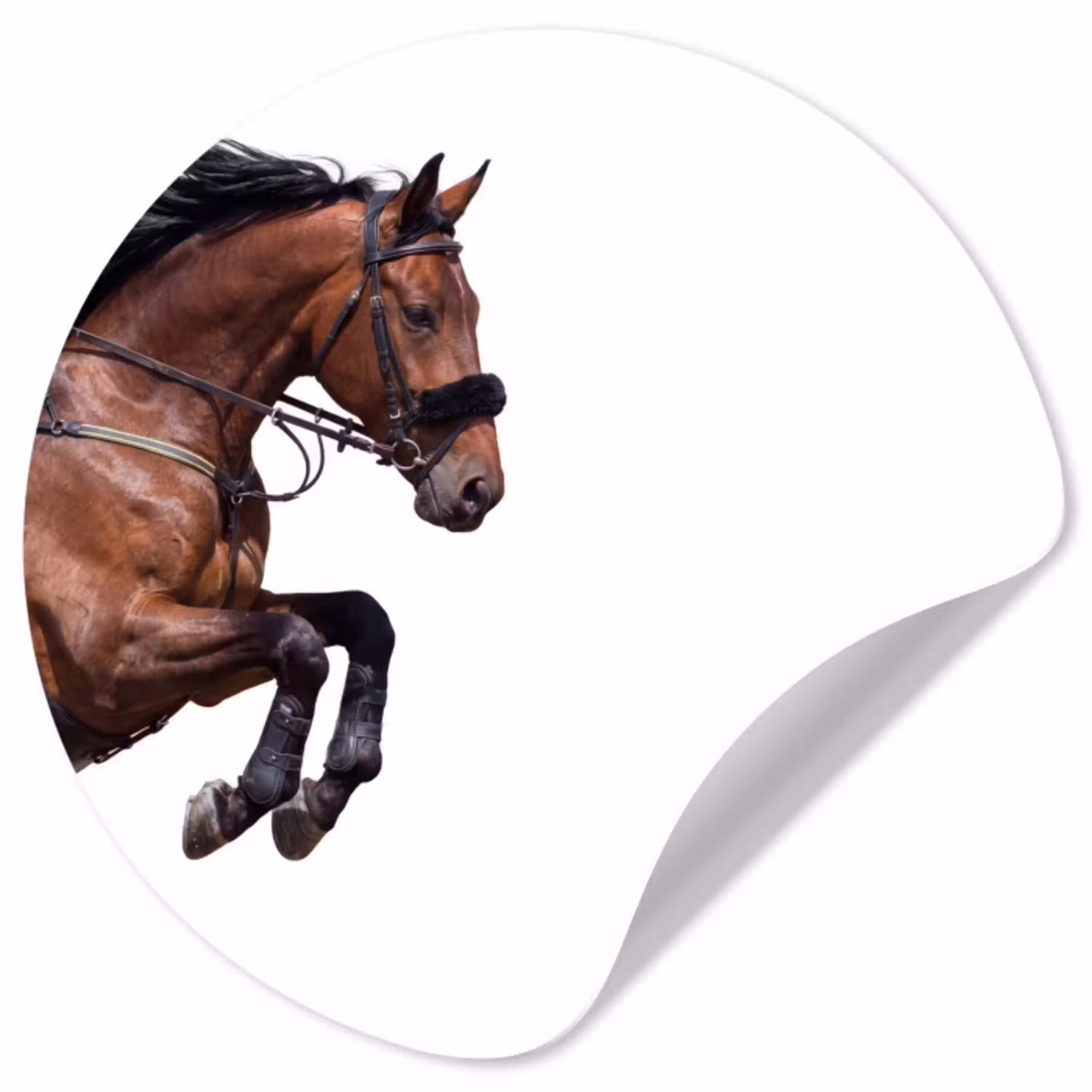 Paard - Springen - Modern Wandcirkel behangsticker klein -3d