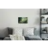 Bos - Pad - Zon - Bomen - Groen - Natuur Muursticker klein -slaapkamer