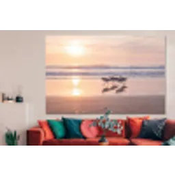 Zee - Vogels - Strand forex 5mm xxl -woonkamer