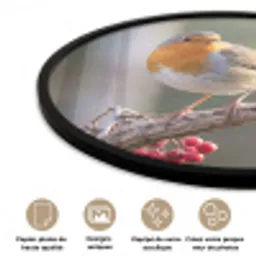 Roodborst - Tak - Bessen - Natuur Fotolijst rond zonder passe partout klein -closeup_FR