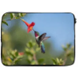Kolibrie - Bloem - Natuur - Groen laptophoes neopreen klein -zkaufland3dotto