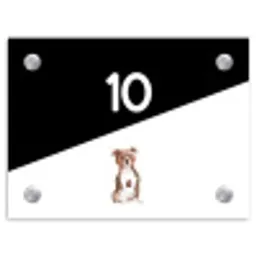 Zwart wit - Huisdier - Staffordshire bullterriër Naambord Rechthoek middel -3d