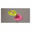 Planten - Anthurium - Groen - Roze Muismat XXL klein -3d_leeg