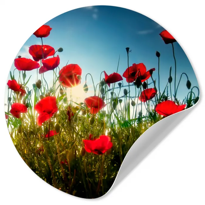 Klaprozen - Toscane - Zon - Rood - Blauw Wandcirkel behangsticker klein -3d