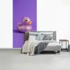 Disco - Eend - Paars fotobehang vinyl groot -slaapkamer