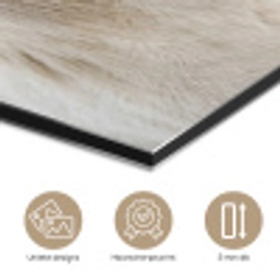 Paard - Kop - Winter - Dieren - Wit aluminium wit klein -closeup_NL