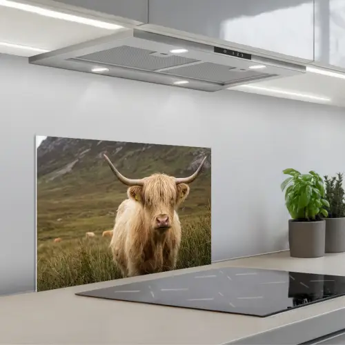 Schotse hooglander - Bergen - Grasveld keuken achterwand spatscherm klein -3d_schuin