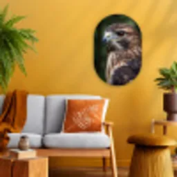 Buizerd - Roofvogel - Natuur - Bruin Wandcirkel Ovaal Forex klein -sfeer4