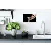 Giraffe - Dieren - Zwart - Portret - Dieren Muursticker klein -keuken