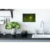 Jungle - Groen - Natuur - Tropisch - Planten Muursticker klein -keuken