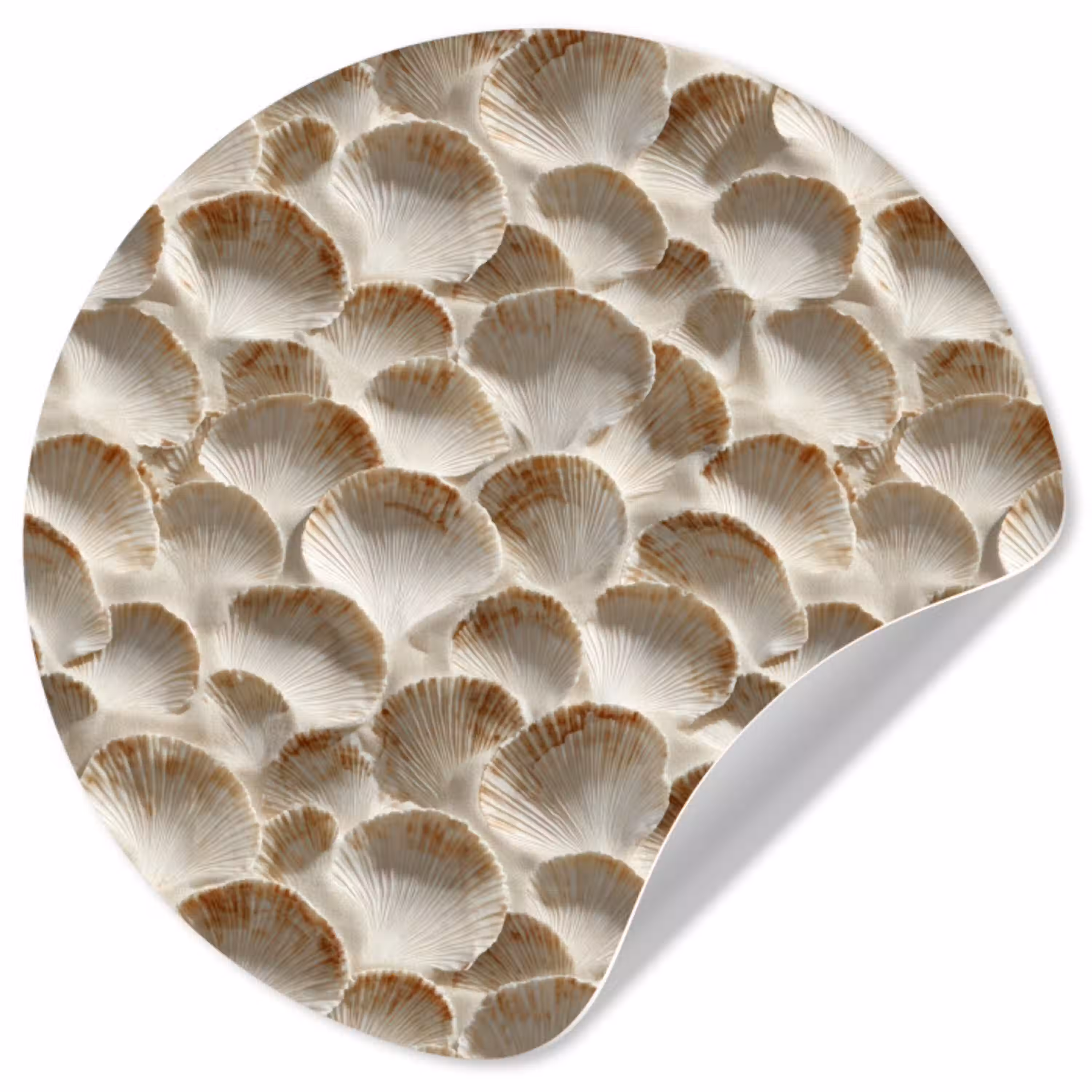 Schelpen - Waaiervorm - Wit Wandcirkel behangsticker klein 186 -3d